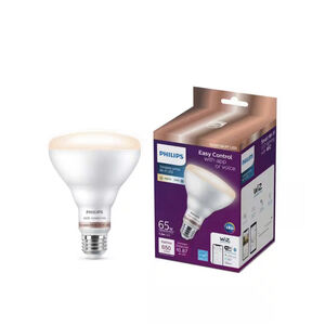 65-Watt Equivalent BR30 LED Smart Wi-Fi Color Changing Light Bulb Powered by Wiz